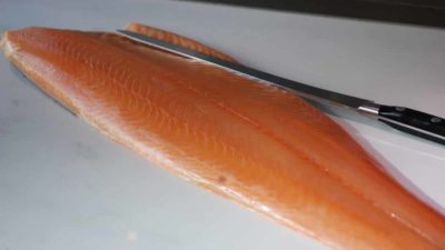 saumon ecosse bio